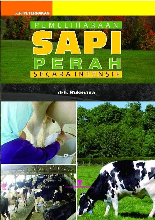 Pemeliharaan Sapi Perah Secara Intensif
